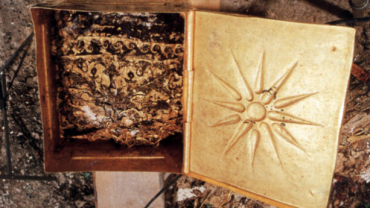 Αιγές - Λάρνακα της Μήδας