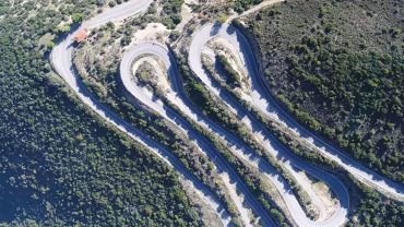 Κωλοσούρτης - Αργιολίδα