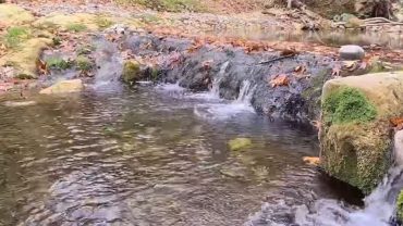 Έρια Εύβοιας: Οι καταρράκτες, το πλατανοδάσος και το εκκλησάκι της Υπαπαντής…