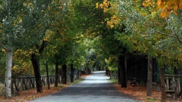 Βυτίνα: Περίπατος στον «δρόμο της αγάπης»