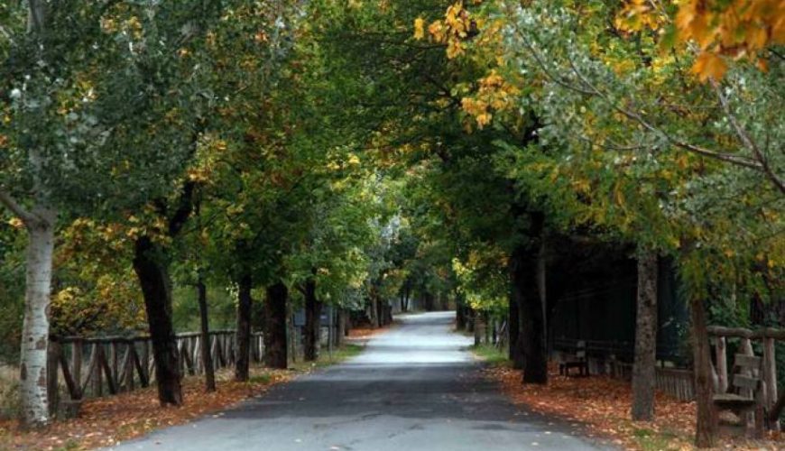 Βυτίνα: Περίπατος στον «δρόμο της αγάπης»