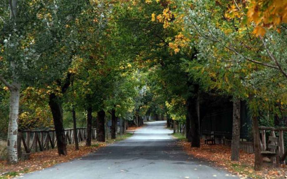 Βυτίνα: Περίπατος στον «δρόμο της αγάπης»