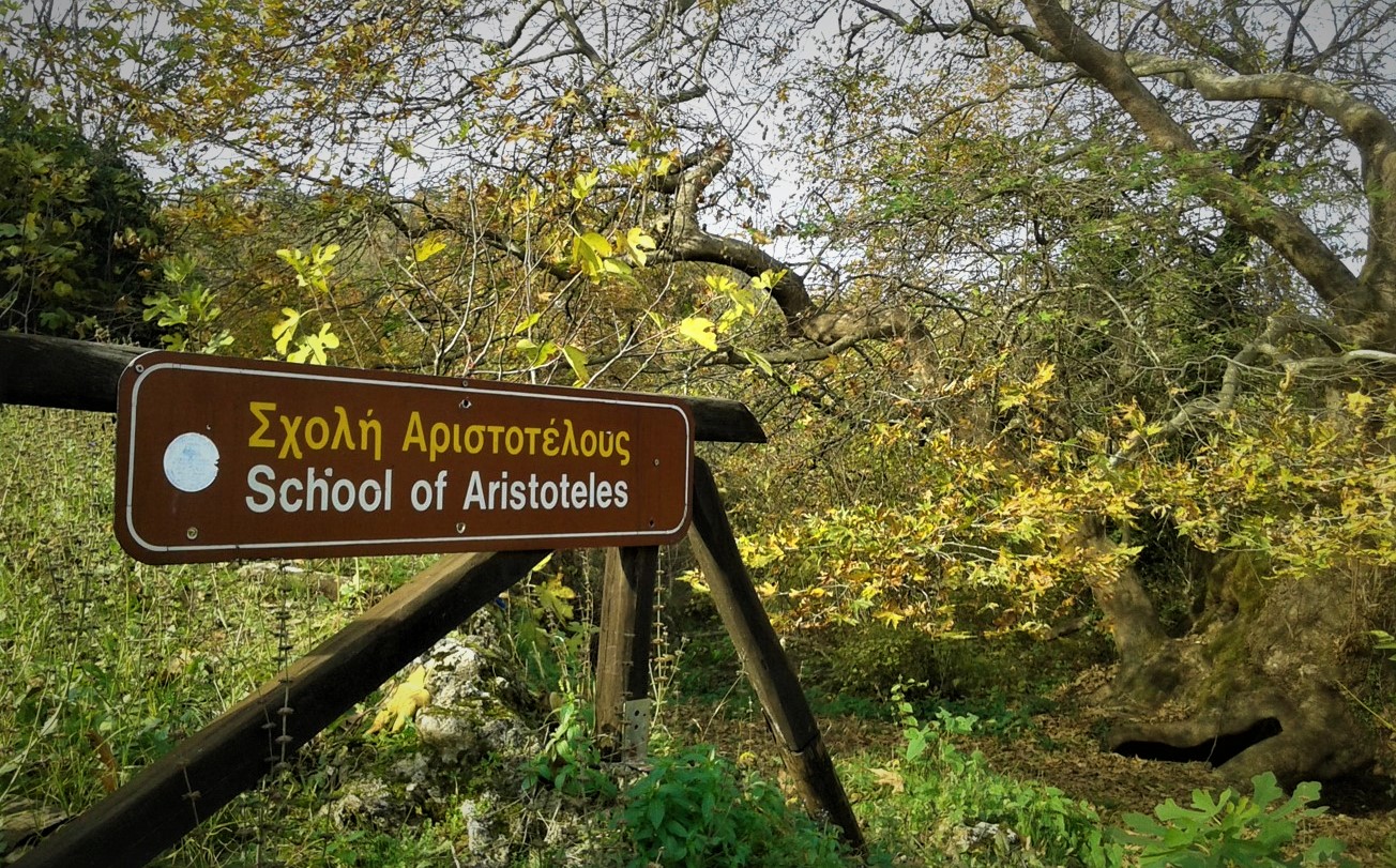 Νυμφαίο: Φιλοσοφικές αναζητήσεις στη Σχολή του Αριστοτέλη