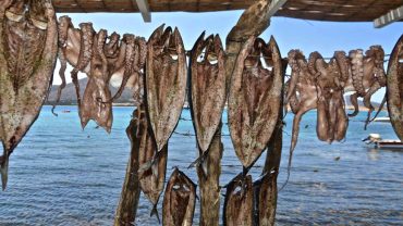 Η πιο… καλοκαιρινή γούνα βρίσκεται στην Πάρο και τη Νάξο