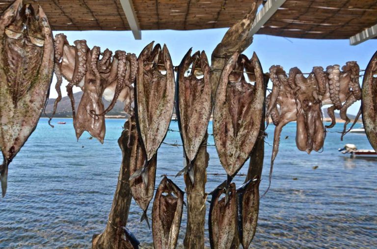 Η πιο… καλοκαιρινή γούνα βρίσκεται στην Πάρο και τη Νάξο