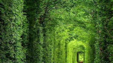 Ουκρανία: Το τούνελ της αγάπης σε καιρό ειρήνης