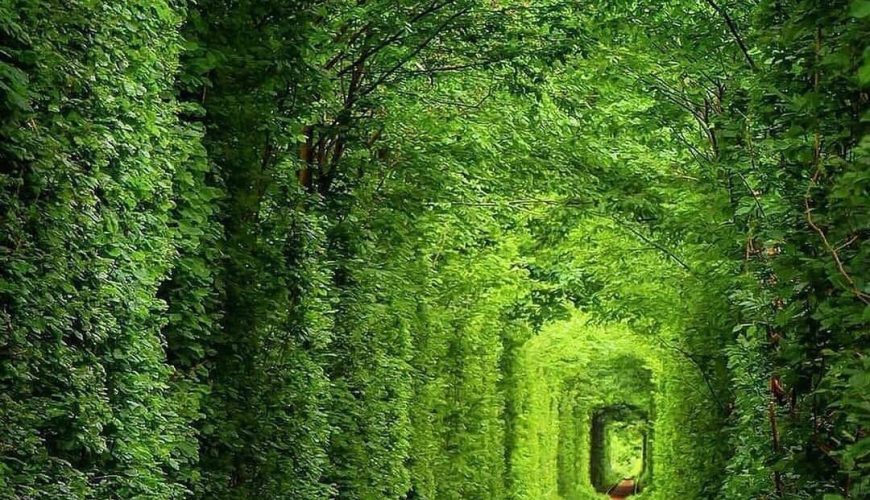 Ουκρανία: Το τούνελ της αγάπης σε καιρό ειρήνης