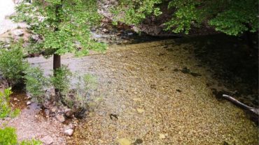 Τρίκαλα: Ο καταρράκτης της Παλαιοκαρυάς – Μια μοναδική διαδρομή χαλάρωσης και ηρεμίας