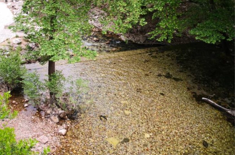 Τρίκαλα: Ο καταρράκτης της Παλαιοκαρυάς – Μια μοναδική διαδρομή χαλάρωσης και ηρεμίας