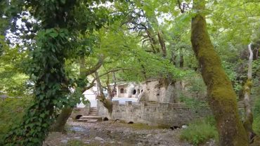 Αγία Θεοδώρα Βάστα: Το θαύμα της φύσης με τις 17 βελανιδιές