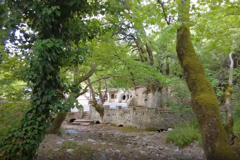 Αγία Θεοδώρα Βάστα: Το θαύμα της φύσης με τις 17 βελανιδιές