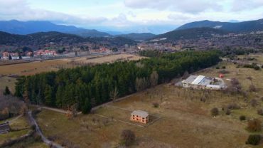 Βυτίνα: Το υπέροχο δασάκι και το μουσείο Υδροκίνησης στη Δημητσάνα