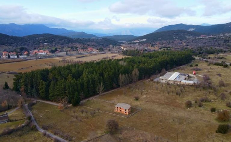 Βυτίνα: Το υπέροχο δασάκι και το μουσείο Υδροκίνησης στη Δημητσάνα