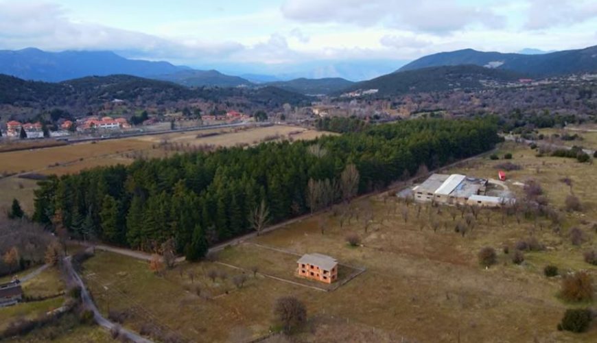 Βυτίνα: Το υπέροχο δασάκι και το μουσείο Υδροκίνησης στη Δημητσάνα