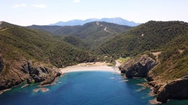 Δαφνοπόταμος: Η μαγική ερημική παραλία της Εύβοιας (vid)
