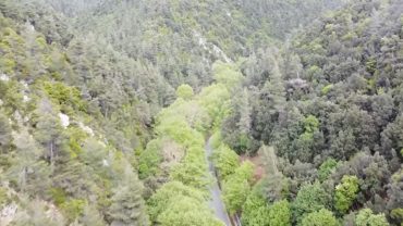 Εχει κι η Εύβοια τα δικά της… Τέμπη (vid)