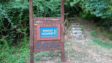 Μονοπάτι Ασκληπιού: Το μυστηριώδες δάσος με τα δέντρα… χορευτές