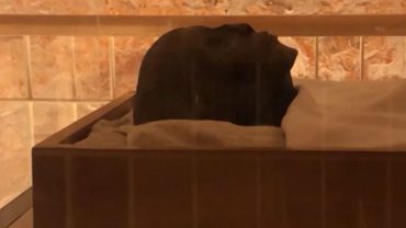 Αίγυπτος: Η σφίγγα και ο τάφος του Τουταγχαμών (vids)