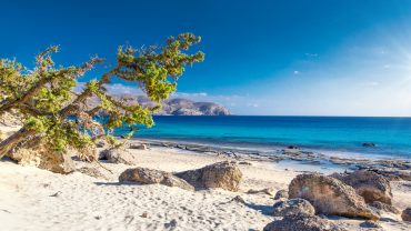 Κεδρόδασος: Ένας πολύτιμος θησαυρός!