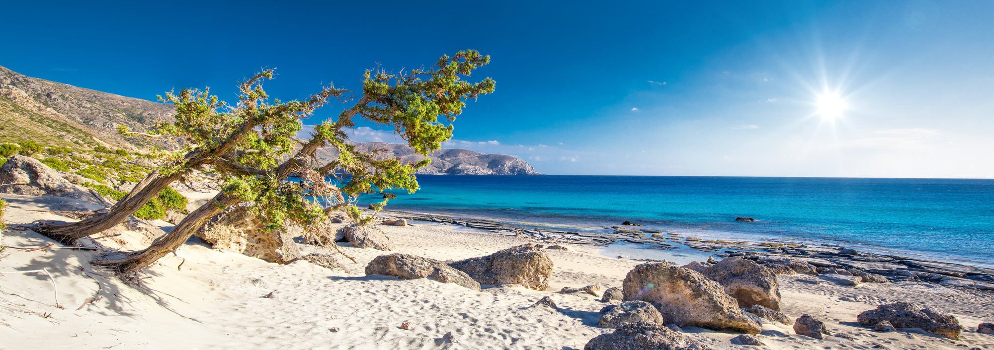Κεδρόδασος: Ένας πολύτιμος θησαυρός!