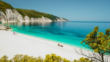 Φτέρη: Μια «τροπική» καρτ ποστάλ…