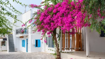 Αντίπαρος: Το νησί με την ξεχωριστή κυκλαδίτικη ομορφιά