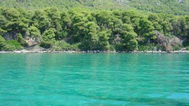 Χρυσή Ακτή: Η πανέμορφη παραλία στην Εύβοια