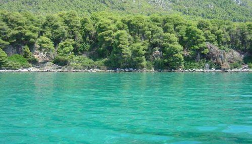 Χρυσή Ακτή: Η πανέμορφη παραλία στην Εύβοια