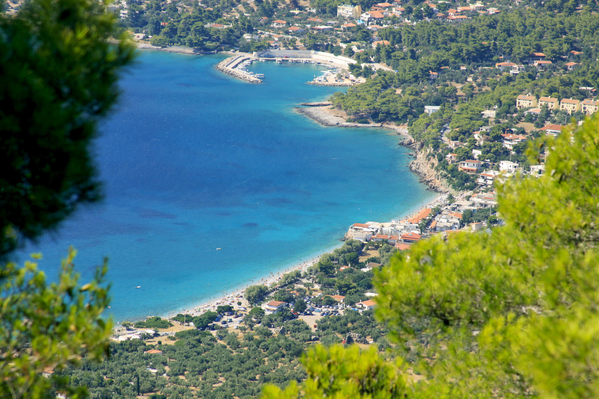 Πόρτο Γερμενό: Η καταπράσινη παραλία της Αττικής