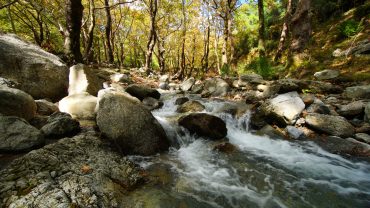 Στενή Ευβοίας: Η «επιτομή» της καλαισθησίας!