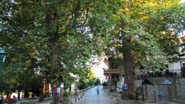 Κίσσος: Το πανέμορφο χωριό στο Πήλιο