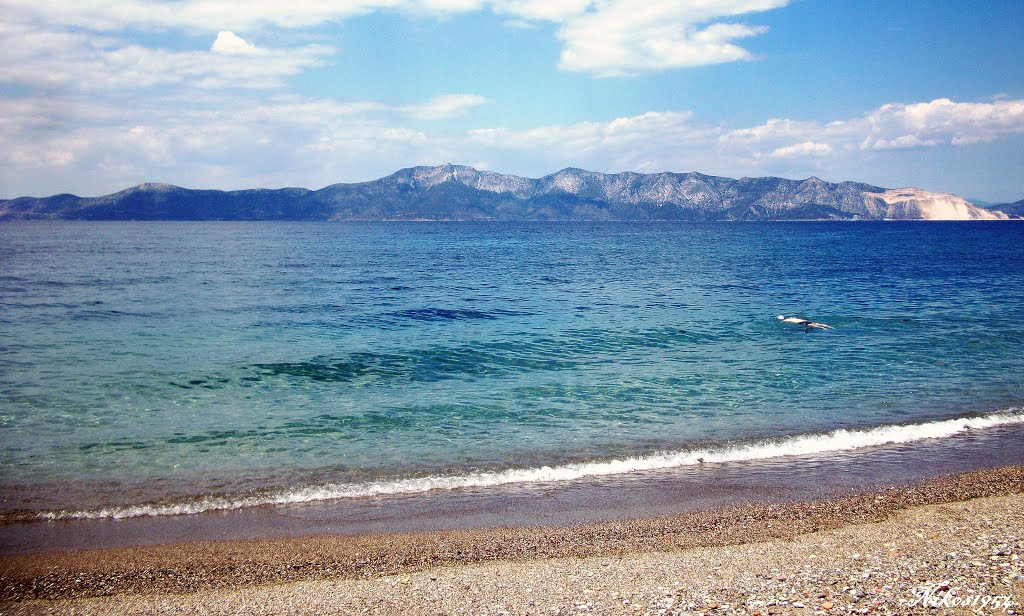 Η μαγευτική παραλία Πευκί στην Βόρεια Εύβοια