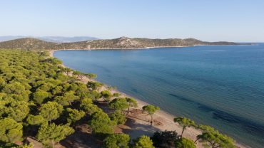 Σχοινιάς: Η μεγαλύτερη παραλία της Αττικής!