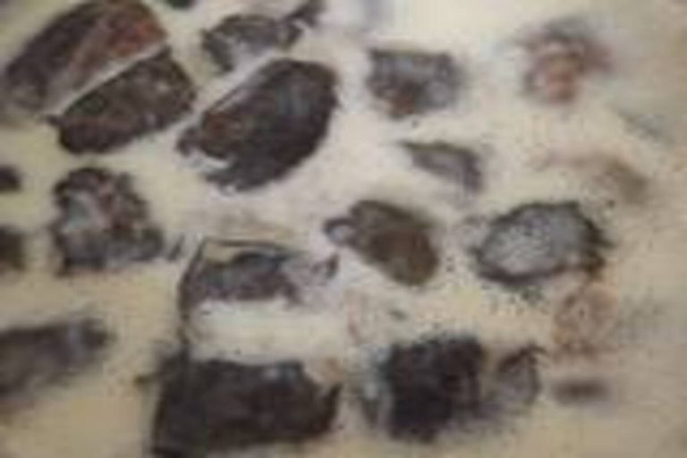 Λαχανοντολμάδες Καλύμνου: Απολαύστε την παραδοσιακή συνταγή