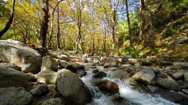 Καμπιά: Το χωριό που θυμίζει παράδεισο στην Εύβοια