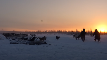 Πώς ζουν οι Nomads της Ρωσίας στον Άπω Βορρά και τους -60;